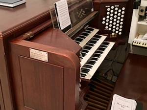 organ