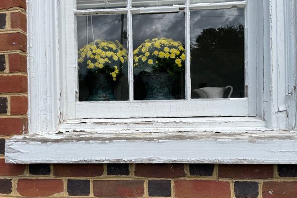 weathered window sill filled with peeling paint