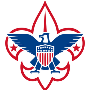 boy and girl scouts of America logo