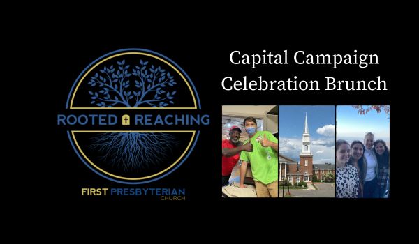 Rooted and Reaching Celebration Brunch
