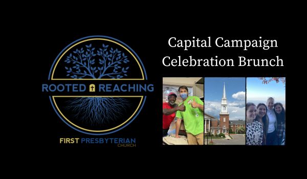 Rooted and Reaching Celebration Brunch